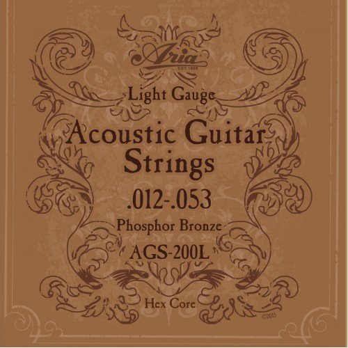 Aria AGS 200L Acoustic Guitar Strings