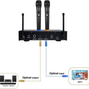 Hayden HY-X7 Echo Mic Dynamic Wireless Karaoke Microphone System 2 UHF Metal Body Mics
