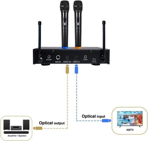 Hayden HY-X7 Echo Mic Dynamic Wireless Karaoke Microphone System 2 UHF Metal Body Mics