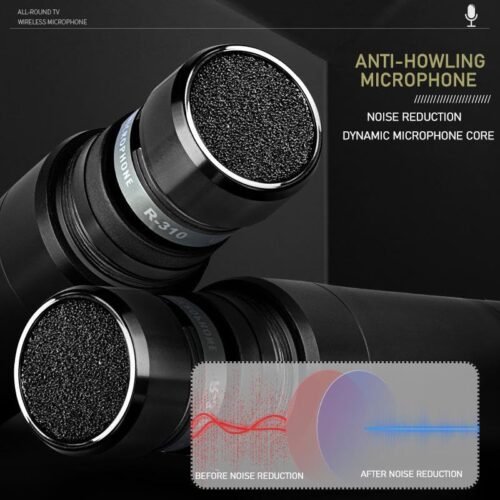 Hayden HY-X7 Echo Mic Dynamic Wireless Karaoke Microphone System 2 UHF Metal Body Mics
