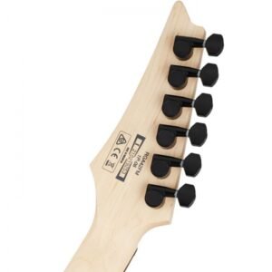 Ibanez RGA42FM TGF Electric Guitar