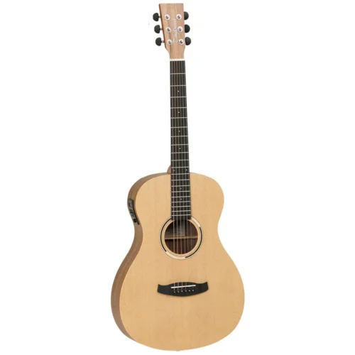 Tanglewood DBT PE HR Discovery Exotic Parlour Electro Acoustic Guitar