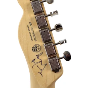 Fender Custom Shop World Stamp Collection Telecaster Electric Guitar -1508180801 Fender Custom Shop World Stamp Collection Telecaster Electric Guitar -1508180801