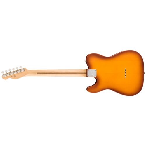 Fender Limited Edition American Performer Timber Telecaster Electric Guitar 0171042742 - Honey Burst