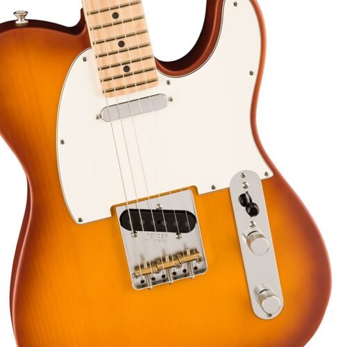 Fender Limited Edition American Performer Timber Telecaster Electric Guitar 0171042742 - Honey Burst