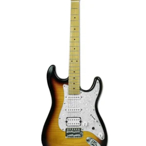 Hertz HZ STJP Electric Guitar Hertz HZ STJP Electric Guitar