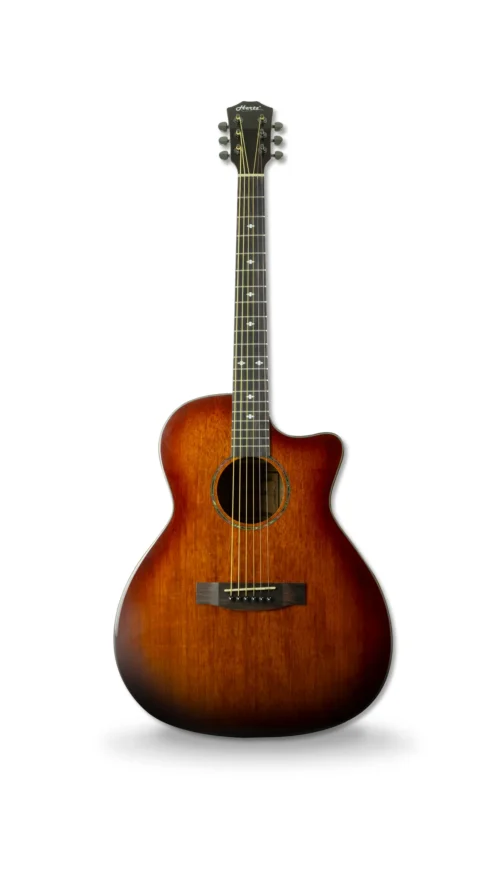 Hertz HZA 4100 Acoustic Guitar- Mahogany