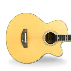 Hertz HZA-4503 Acoustic Bass Guitar
