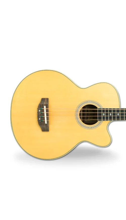 Hertz HZA-4503 Acoustic Bass Guitar