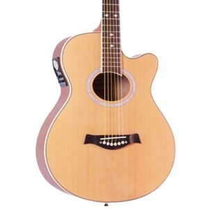 Hertz HZA7000 NS Semi Acoustic Guitar
