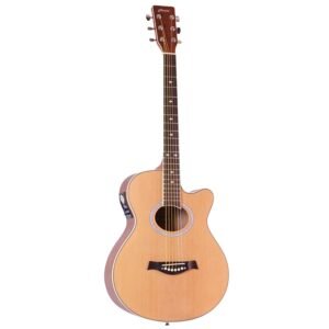 Hertz HZA7000 NS Semi Acoustic Guitar