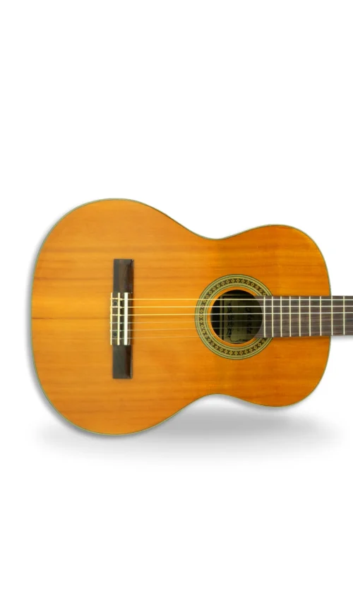 Hertz S CLASSICO Solid top rosewood back & Side 4 Hertz S CLASSICO Classical Guitar Solid top rosewood back & Side