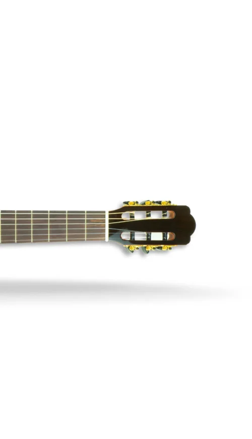 Hertz S CLASSICO Solid top rosewood back & Side 5 Hertz S CLASSICO Classical Guitar Solid top rosewood back & Side