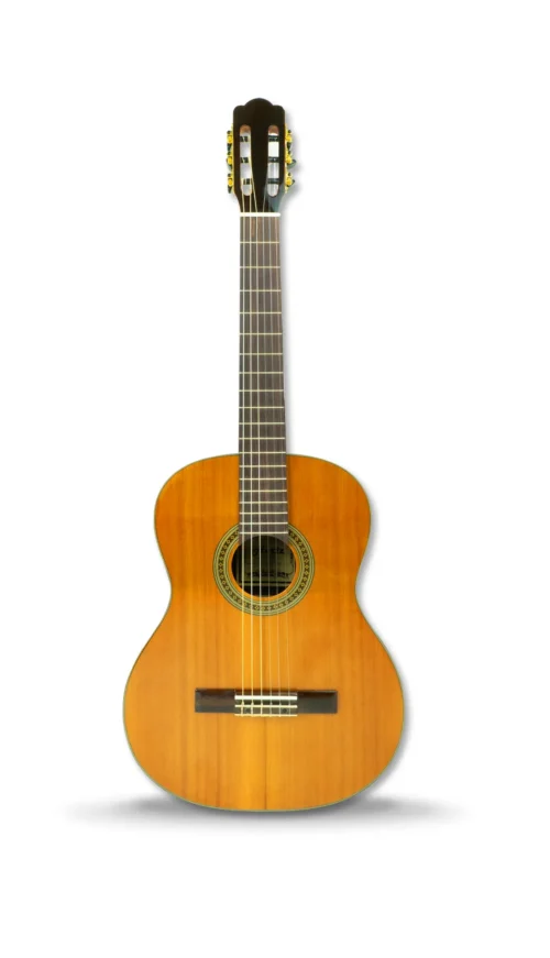 Hertz S CLASSICO Solid top rosewood back & Side
