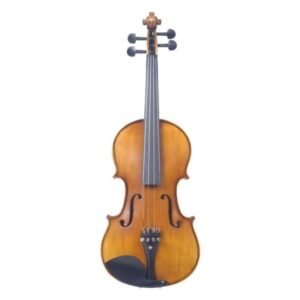 Hertz VM03 Spruce Top Violin Hertz VM03 Spruce Top Violin