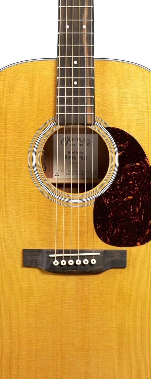 Martin DE Retro Plus Granadillo Road Series Acoustic-Electric Guitar 2