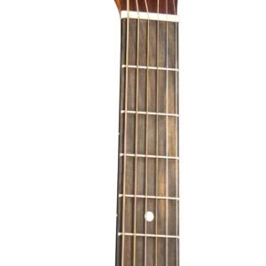 Martin DE Retro Plus Granadillo Road Series Acoustic-Electric Guitar