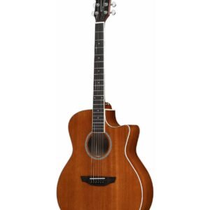 ORANGEWOOD GUITARS Rey-M Grand Auditorium Cutaway Layered Mahogany Top 41 Inches Acoustic Guitar 2 ORANGEWOOD GUITARS Rey-M Grand Auditorium Cutaway Layered Mahogany Top 41 Inches Acoustic Guitar