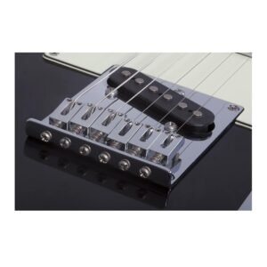 Schecter NICK JOHNSTON PT A. INK
