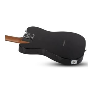 Schecter NICK JOHNSTON PT A. INK