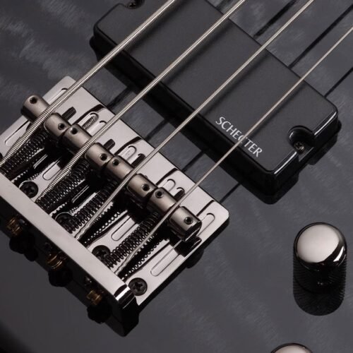 Schecter Stiletto Extreme-4 STBLK 4-String Bass Guitar - See-Thru Black