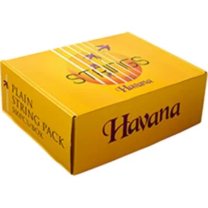 Havana AGS1150 Acoustic Guitar 2nd String (100 PCs)
