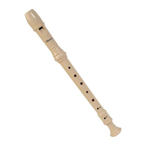 Havana RCR-100 Recorder