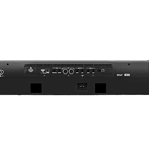 Korg PA600 61-Keys Professional Arranger Keyboard with MicroSD Card