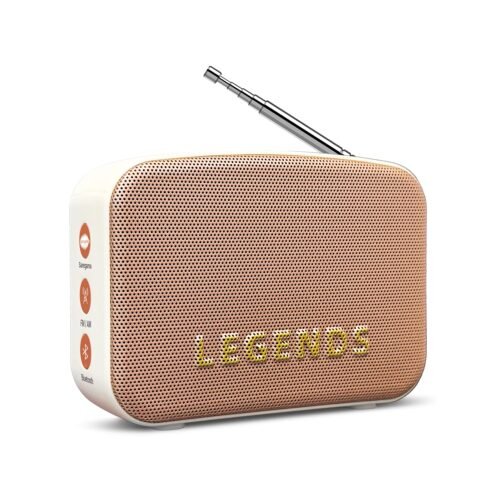 Saregama Carvaan Mini 2.0 Hindi - Music Player (Imperial White)