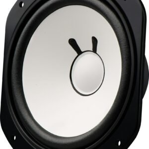 Avantone Pro AV10 MLF Low Frequency Driver