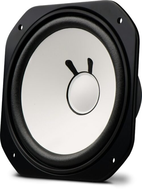 Avantone Pro AV10 MLF Low Frequency Driver