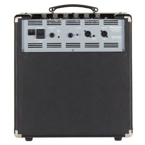 Blackstar Unity 60 - rear panel