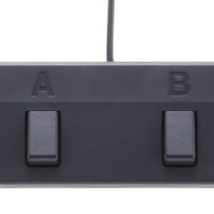 BOSS Acoustic Singer Pro - included dual footswitch Boss ACS-PRO Acoustic Singer Pro 120-Watt Acoustic Guitar Combo Amplifier