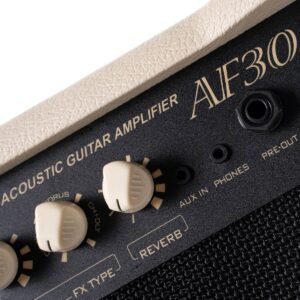 Cort AF30 acoustic amplifier - control panel Cort AF30 acoustic amplifier - control panel