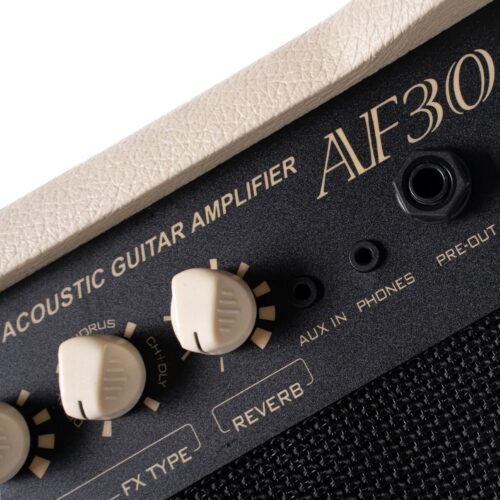 Cort AF30 acoustic amplifier - control panel Cort AF30 acoustic amplifier - control panel