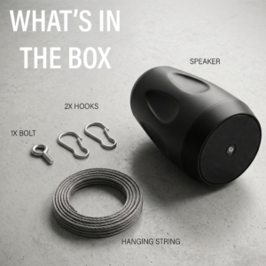 DIGIMORE 30W Hanging Speaker 2-Way 8Ω Speaker (DCS-4401)