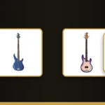 Electric Bass Guitars banner