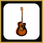 Electro Acoustic Guitars tile