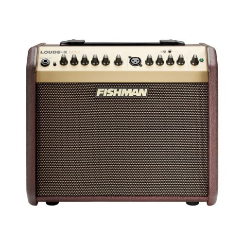 Fishman Loudbox Mini - front view Fishman Loudbox Mini BT 60 Watt 1x6.5 Inches Acoustic Combo