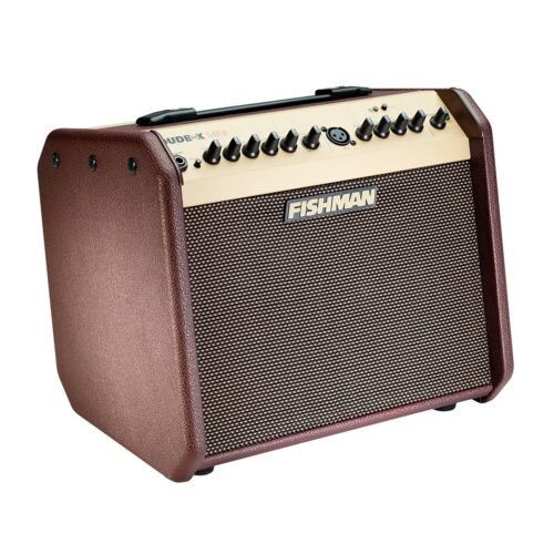 Fishman Loudbox Mini - angled view Fishman Loudbox Mini BT 60 Watt 1x6.5 Inches Acoustic Combo