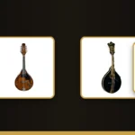 Mandolin banner