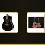 Premium Acoustic Guitar banner