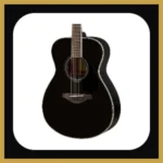 Premium Acoustic Guitar tile