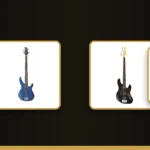 Premium Bass Guitar banner