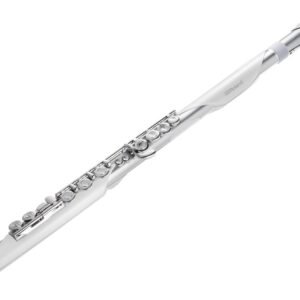 Roland AE-BRISA Electronic Wind Instrument