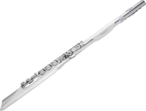 Roland AE-BRISA Electronic Wind Instrument