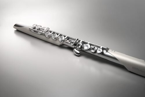 Roland AE-BRISA Electronic Wind Instrument