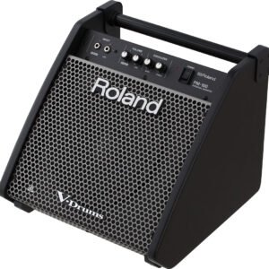 Roland PM100 - angled view Roland PM100 Personal Monitor for V-Drums