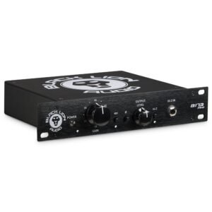 Black Lion Audio B173 mkII - three-quarter view