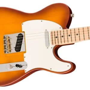 Fender American Performer Timber Telecaster Honey Burst - angle view
